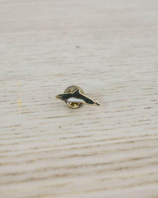 Dolphin Pin